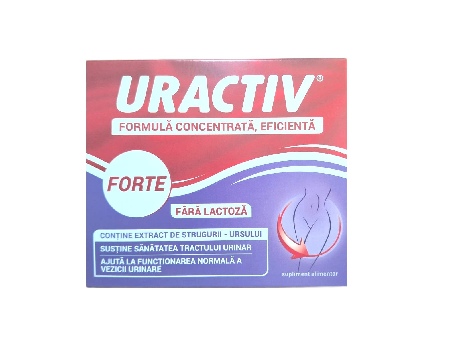 Uractiv Forte fara lactoza, 10 capsule, Terapia
